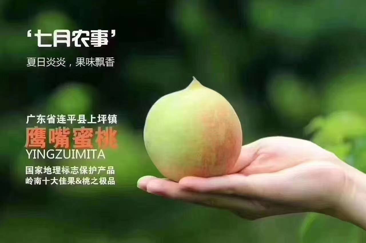 微信图片_20250503090512.jpg